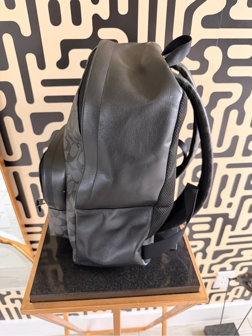 COACH Houston Back pack F72483